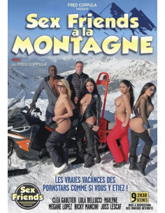SEX FRIENDS A LA MONTAGNE DVD