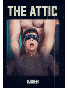 THE ATTIC DVD
