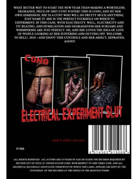 BDSM 1 Brutal Master - Electrical Experi